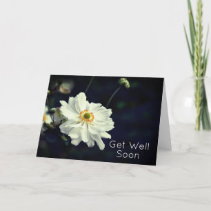Witte Anemoon Tuin Bloemen Beterschap Kaart
