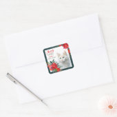 Witte Angora Kat Poinsettia Grens Kerstmis Vierkante Sticker (Envelop)