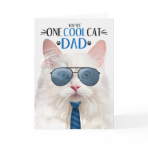 Witte Angora Kat Vaderdag Een Koele Kat