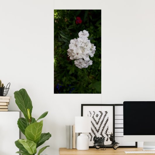 Witte anjerbloemen poster (Thuiskantoor)