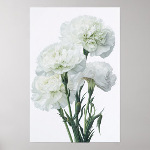 Witte anjers Bloemen Art Print Poster