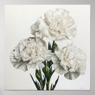 Witte anjers Bloemen Art Print Poster