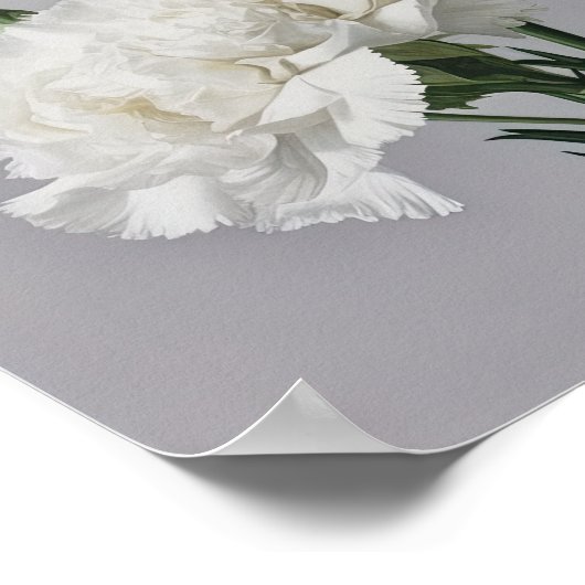 Witte anjers Bloemen Art Print Poster (Hoek)
