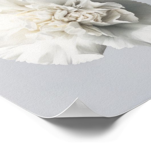 Witte anjers Bloemen Art Print Poster (Hoek)