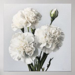 Witte anjers Bloemen Art Print Poster