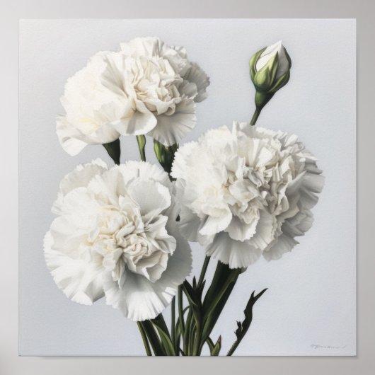 Witte anjers Bloemen Art Print Poster (Voorkant)