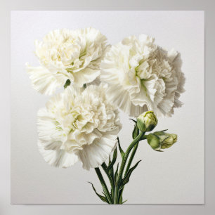 Witte anjers Bloemen Art Print Poster