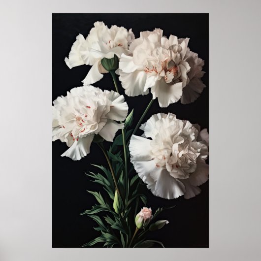 Witte anjers Bloemen Art Print Poster (Voorkant)