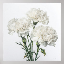 Witte anjers Bloemen Art Print Poster