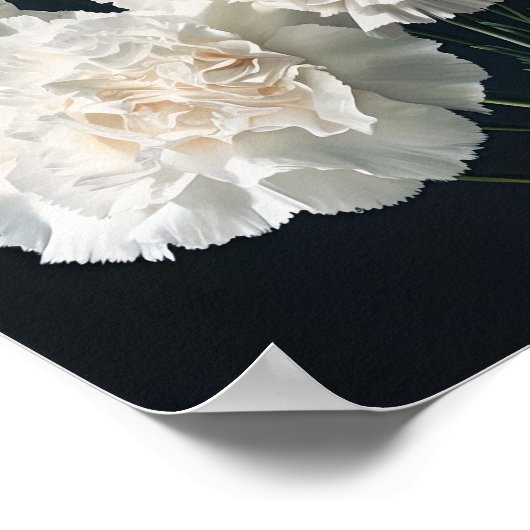 Witte anjers Bloemen Art Print Poster (Hoek)