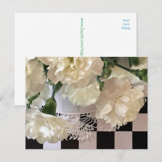 witte anjers Briefkaart (Voorkant / Achterkant)