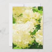 Witte Annabelle Hydrangeas bruiloft uitnodiging (Achterkant)