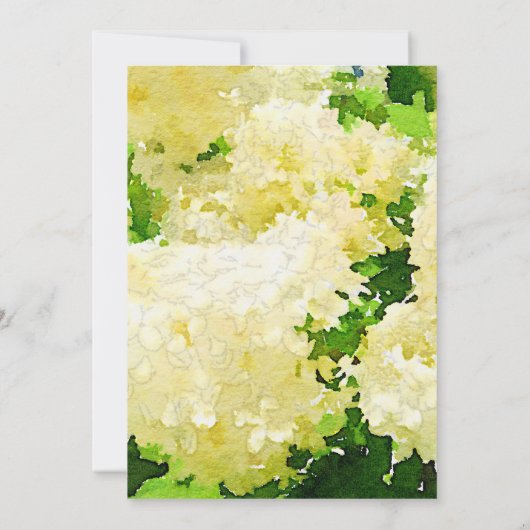 Witte Annabelle Hydrangeas bruiloft uitnodiging (Achterkant)