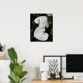 Witte Anthurium Bloesems Fotografisch Poster (Thuiskantoor)