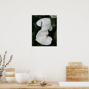 Witte Anthurium Bloesems Fotografisch Poster