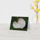 Witte Anthurium Note Kaart (Gele Bloem)