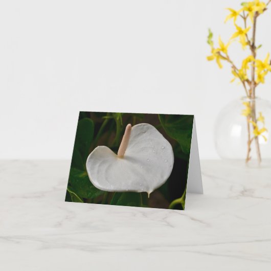 Witte Anthurium Note Kaart (Gele Bloem)