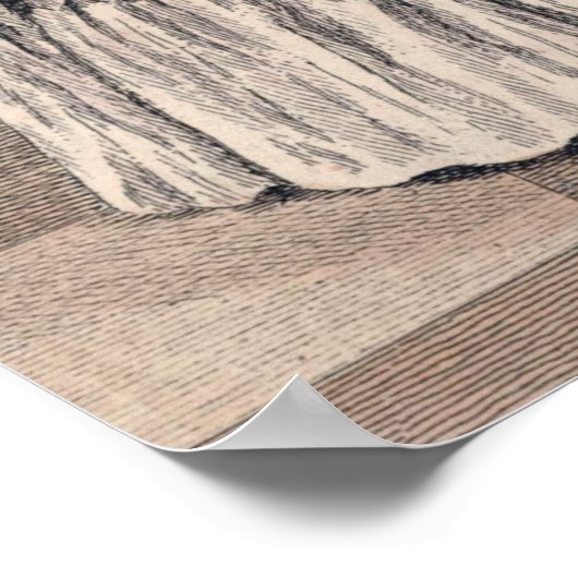 -witte Antiek Mode van het Franse Regenregime Poster (Hoek)