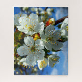 Witte appelbloesem bloemen legpuzzel (Verticaal)