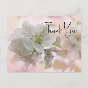 Witte Appelbloesem Foto Bedankt Briefkaart