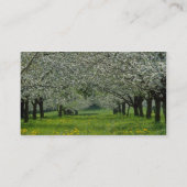 witte appelbomen bloemen visitekaartje (Achterkant)