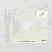 witte appelbomen in de lentesbloemen briefkaart (Achterkant)