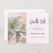 Witte Apple Blossom Foto sparen de Datum Uitnodiging Briefkaart (Voorkant / Achterkant)
