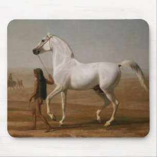 Witte Arabische hengst Muismat