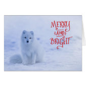Witte Arctic Fox Christmas Kaart (Voorkant Horizontaal)