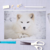 Witte arctische vos die naar je kijkt tissuepapier (Craft)