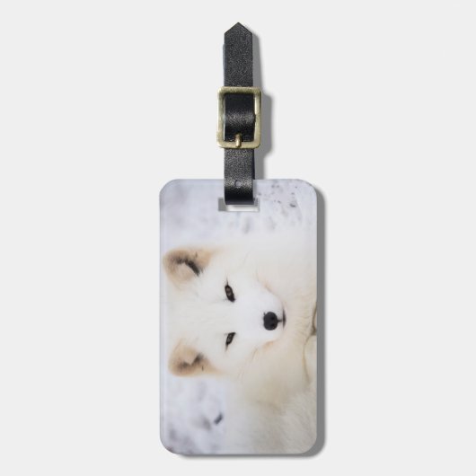 Witte arctische vos sneeuw leuk dier persoonlijk bagagelabel (Voorkant verticaal)