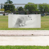 WITTE ARTIC FOX 2.5 X 6 Banner (Insitu)