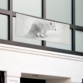 WITTE ARTIC FOX 2.5 X 6 Banner (Buitenkant Gebouw)