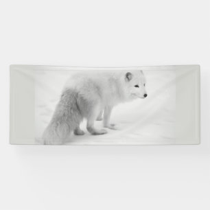WITTE ARTIC FOX 2.5 X 6 Banner