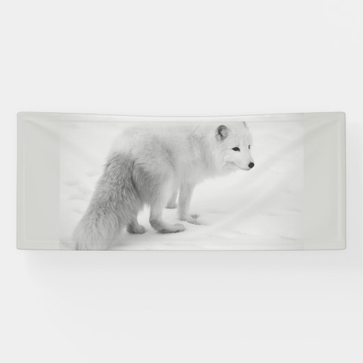 WITTE ARTIC FOX 2.5 X 6 Banner (Horizontaal)