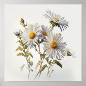 Witte Aster Bloem Art Print Poster (Voorkant)