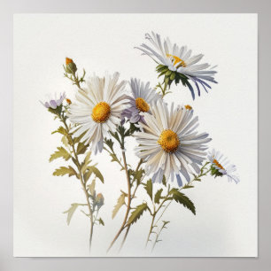 Witte Aster Bloem Art Print Poster