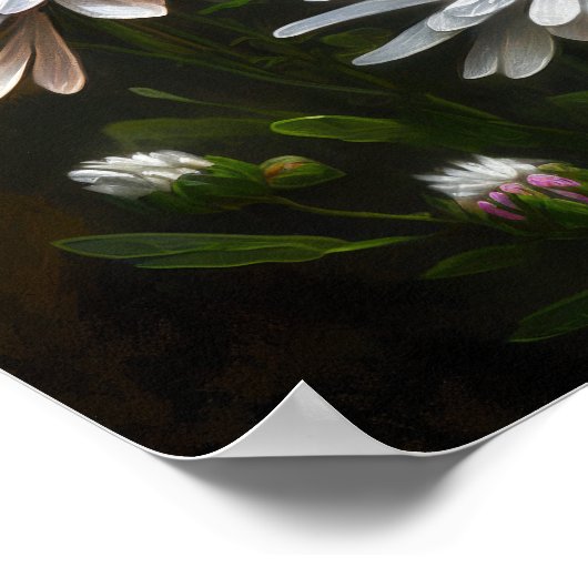 Witte Aster Bloem Art Print Poster (Hoek)