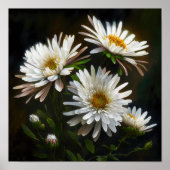 Witte Aster Bloem Art Print Poster (Voorkant)