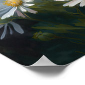 Witte Aster Bloem Art Print Poster (Hoek)