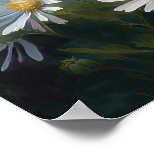 Witte Aster Bloem Art Print Poster (Hoek)