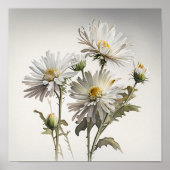 Witte Aster Bloem Art Print Poster (Voorkant)