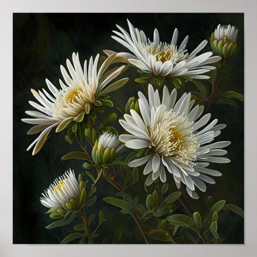 Witte Aster Bloem Art Print Poster (Voorkant)