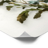 Witte Aster Bloem Art Print Poster (Hoek)