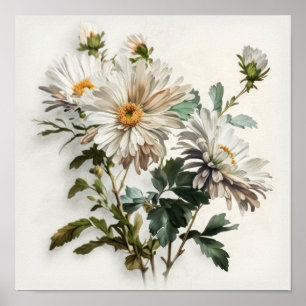 Witte Aster Bloem Art Print Poster