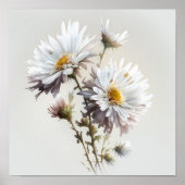 Witte Aster Bloem Art Print Poster (Voorkant)