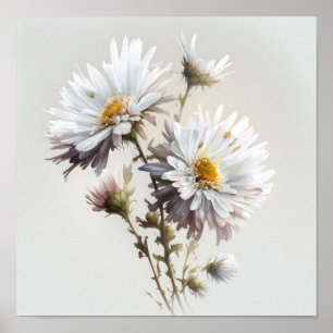 Witte Aster Bloem Art Print Poster