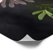 Witte Aster Bloem Art Print Poster (Hoek)