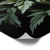 Witte Astilbe Flowers Art Print Poster (Hoek)