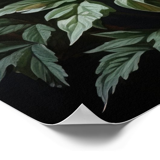 Witte Astilbe Flowers Art Print Poster (Hoek)